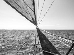 renard voilier shilling vieux-gréement proue