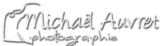 logo entreprise web Michael auvret