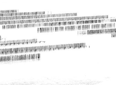 panoramique pieux moules bouchots noir-et-blanc graphique saint-jacut ebihen