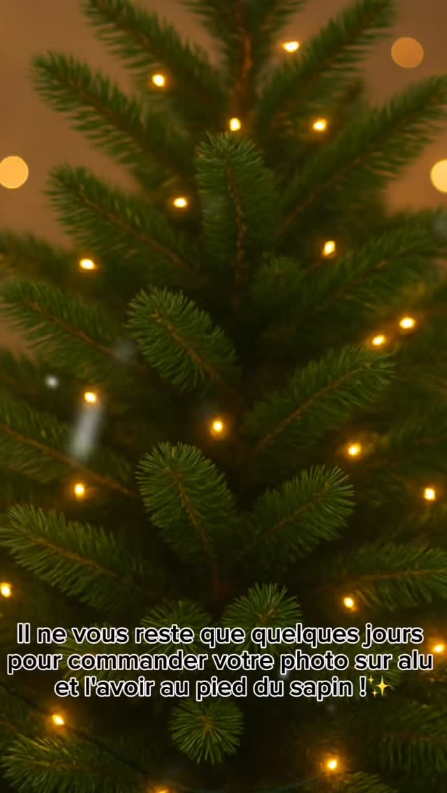 Et si, cette année,
le plus beau cadeau était un souvenir qui dure ✨

🖼️ Tableau photo personnalisé sur aluminium
⏰ Derniers jours pour une livraison avant Noël
🎄 Prêt pour le sapin

👉 Commandes ouvertes maintenant  michaelauvretphotographie.fr