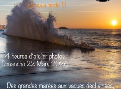 Workshop photographie grande marée